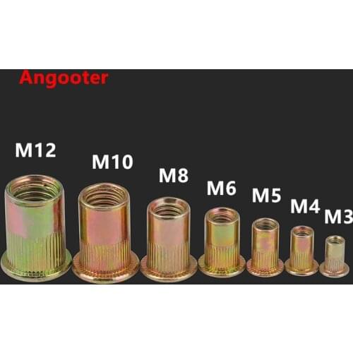 M3 M4 M5 M6 M8 M10 M12 Zinc plated Carbon Steel Knurled Nuts Rivnut Flat Head Threaded Rivet Insert Nutsert Cap Rivet Nut