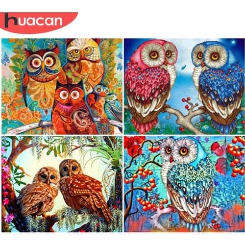 HUACAN Coloring By Numbers Owl Animal Drawing On Canvas Oil Painting By Number For Adults Children Unique Gifts