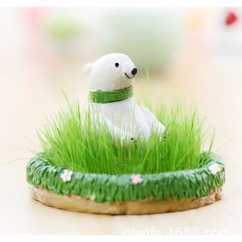 Super Meng Mr. E Golf cultivation DIY mini potted Desktop potted bonsai creative wholesale