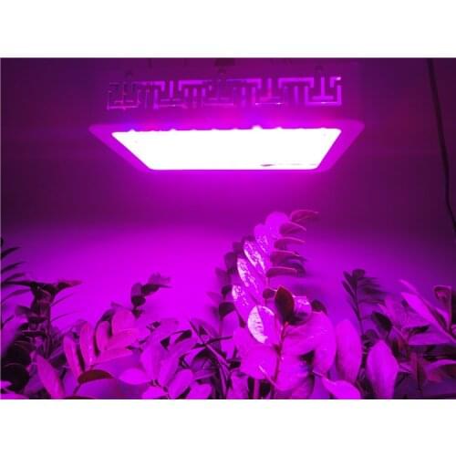 Top 5 led grow 300w red blue hydroponic led grow lamp panel for potatoes tomatoes vegetables