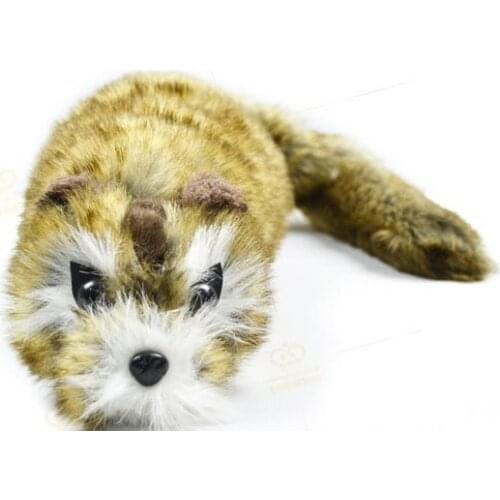 Free shipping! New Style Magic Robbie Raccoon - Magic Tricks,illusions,Stage Magic,Party Magic,Accessories,Comedy,Toys