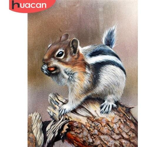 HUACAN Diamond Painting New Squirrel 5D DIY Diamond Embroidery Cross Stitch Animal Pictures Of Rhinestones Mosaic Wall Art