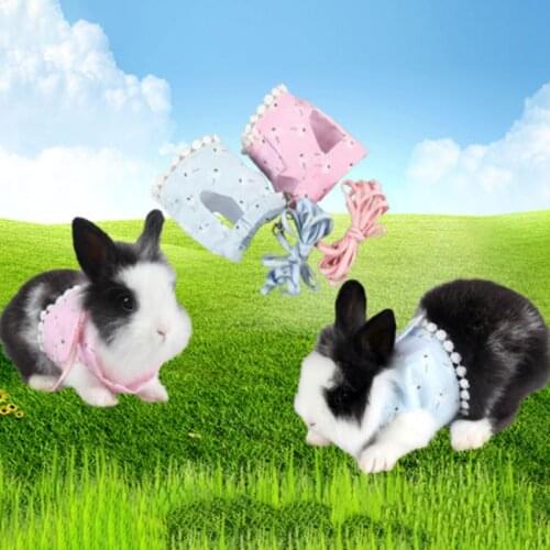 Cute Cat Vest Harness Breathable Mesh Pet Harness Leash Adjustable Bowtie No Pull Dog Harness Guinea Pig Rabbit Pet Accessories
