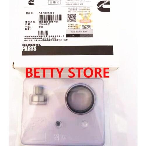 Original New Fuel Injector Repair Parts Kits 5473013EF For 4307475