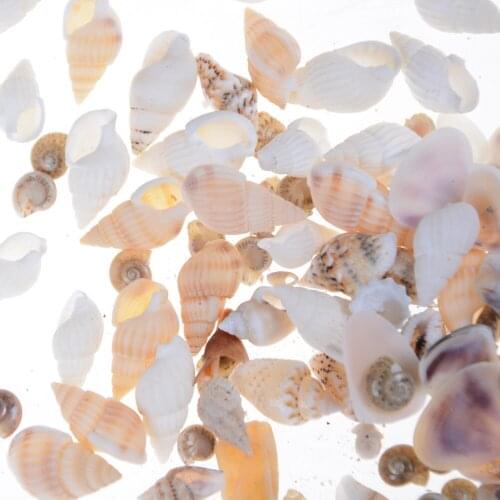 BESTIM INCUK About 40Pcs/bag Miniature Dollhouse Sea Shell Bonsai Lanscape DIY Decor 1:12 Dolls garden Accessories