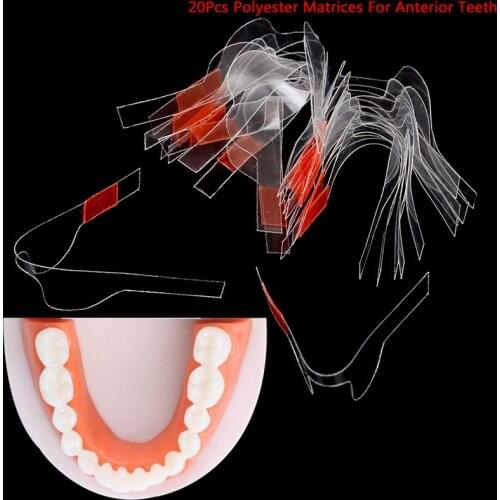 20pc/LOT Dental Orthodontic Twin Anterior Matrice Self-Adhesive Sectional Contoured Matrix Orthodontic Matrice Tooth Tool