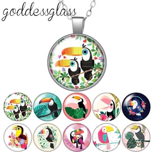 Largirostrornis Birds Toucans Round Glass glass cabochon silver plated/Crystal pendant necklace jewelry for Gift