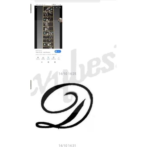 Lvybest electric guitar right hand stra neck with flame grain .own logo and own designed fingerboard inlay ,korea loccking tuner