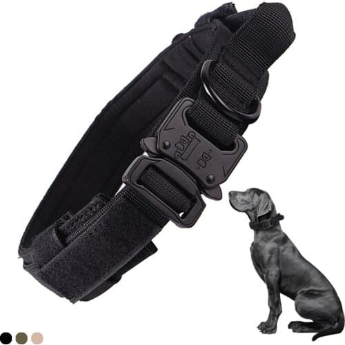 Double Thickened Nylon Cool Dogs Collar 4 Color Wear Resisting Outdoor Adjustable Large and Midium Dogs Personality Pet Products