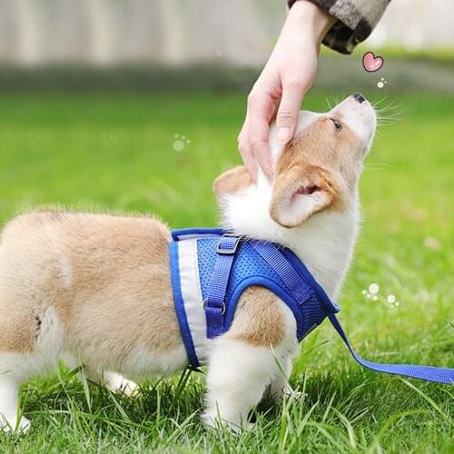 Dog Cat Harness Set Pet Adjustable Walking Reflective Vest with Leash Breathable Mesh Harness for Small Medium Dog