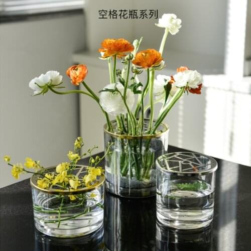 Nordic Simple Creative home flower arrangement vase Decorative cup decoration living room glass plant Vases Tabletop Hydroponic
