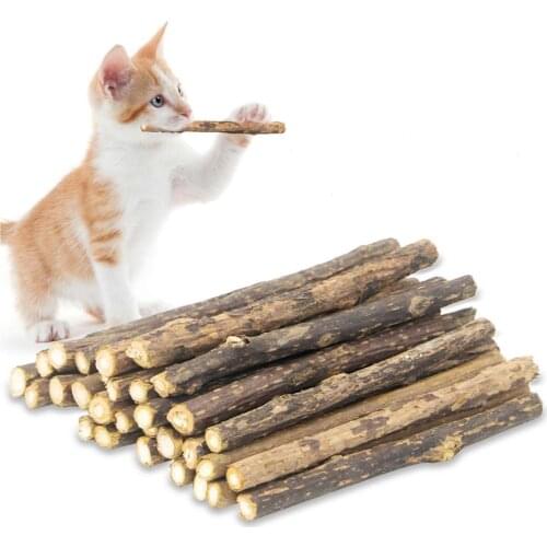 Cat Chew Catnip Stick Set Minty Stick 12cm Kitten Molar Sticks Cat Nip Sugercane Snack Oral Teeth Cleaning Gum Brush Teeth Toy