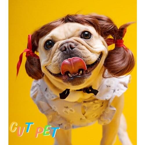 LXMH Pet Wig Cosplay Props Dog Cat Cross-Dressing Hair Set Photography Funny Props Head Accessories Prank Pet Supplies