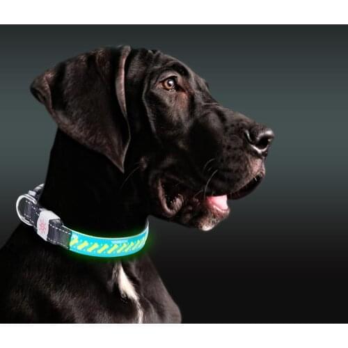 USB Rechargeable LED Dog Collar Night Lighting Walking Halloween Christmas Cool Fashion Big Dog Necklace Luminous