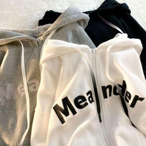 Autumn oversized cardigan hoodie niche design chic top embroidered high-level feel loose zipper Sweatshirt harajuku hoodie