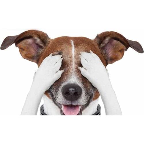 Cute Naughty Jack Russell Terrier Car Stickers Surfboard Fine Decal Graffiti Sticker Vinyl Material Waterproof Decoration