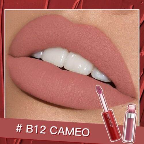 20 Colors Velvet Matte Lip Gloss Natural Moisturizing Long Lasting Waterproof Lip Plumper Oil Sexy Red Lipstick Cosmetics TSLM1