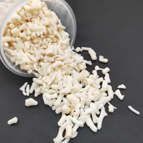 Natural White Coral Crystal Antipathes Gravel Rock Quartz Raw Gemstone Mineral Specimen Garden Decoration Energy Stone