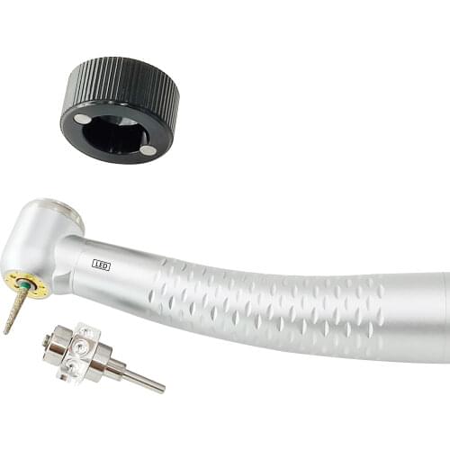 Dental Study Teaching Model Standard Model Removable Teeth Soft Gum ADULT TYPODONT teeth Model