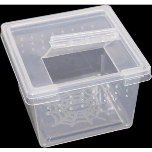 Reptile Box Insect Larvae Feeding Box Scorpion Spider Centipede Seedlings Angle Frogs Cockroach Catch The Birds Spider Box