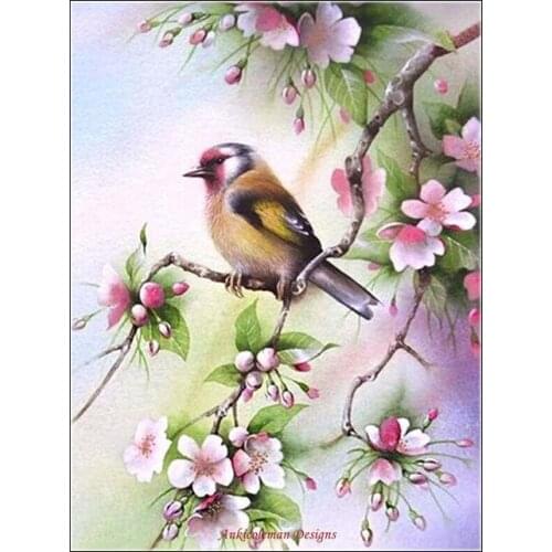 Counted Cross Stitch Kits Needlework Embroidery - Crafts 14 ct Aida DMC Color DIY Arts Handmade Home Decor - Beautiful Bird