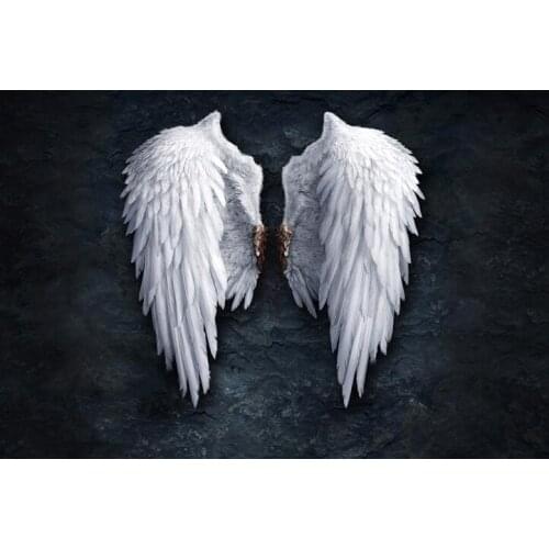 Lot style Choose Modern Angel Wings Feather Art print Silk poster Home Wall Decor