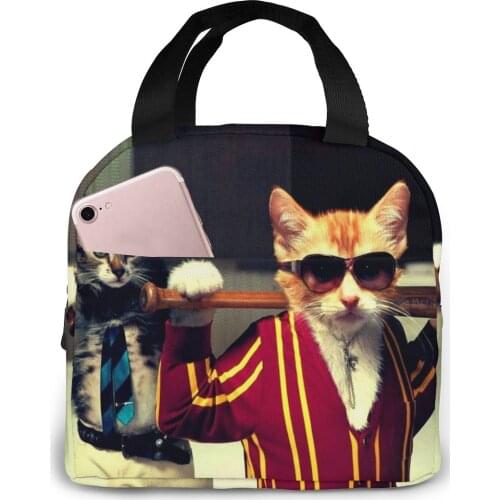 Funny Cat Lunch Bag Waterproof Food Picnic Lunch Box Bag Insulated Women Cooler Bags Fresh Bento Food Pouch