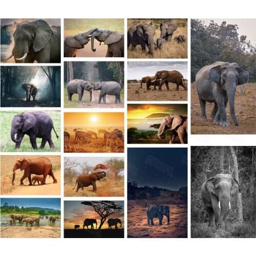 Diy Diamond Painting Wild Animals National Protected Animals Living Room Decoration Painting Elephant Lovers Bedroom Paintings