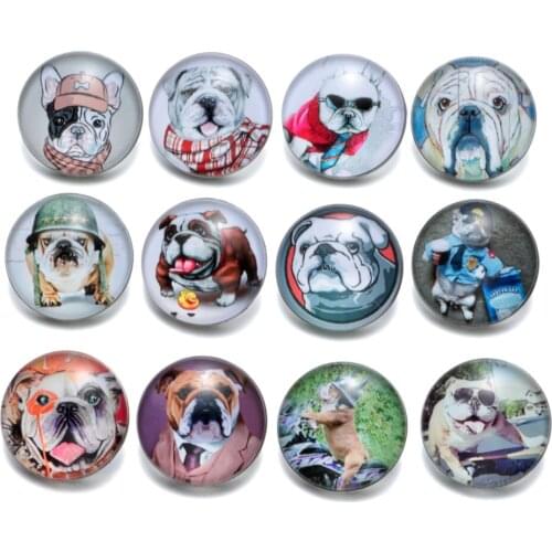 12pcs/lot Lovely Chinese Shar-pei Pattern Charms 18mm Glass Snap Button For DIY Bracelet Snaps Jewelry KZ0372