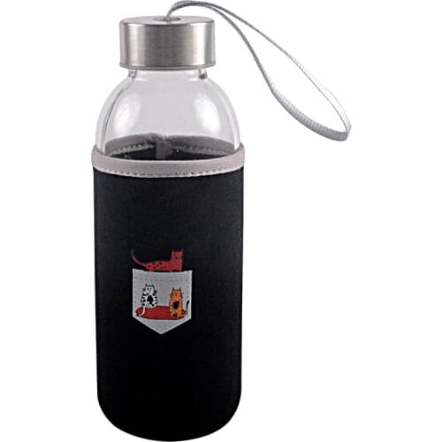 BiggDesign Glass Water Bottles