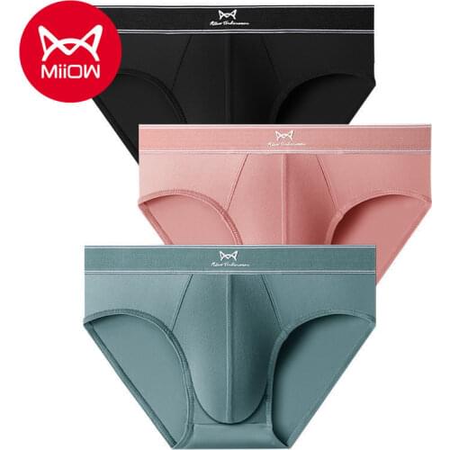 MiiOW Mens Briefs Mens Cotton Antibacterial Breathable Boys Mid-waist Shorts Cotton Stretch Slim-fit Briefs