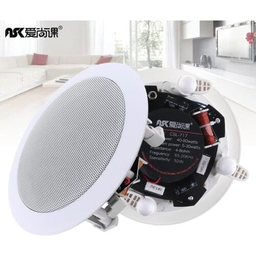 5 Inch 20W Coaxial Fixed Resistance Radio High Fidelity Ceiling Speaker Public Broadcast Background Music Speaker for Home