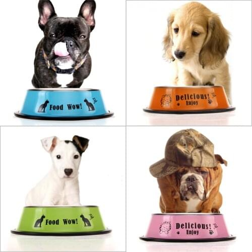 1Pcs Stainless Steel Cartoon Pet Dog Food Water Bowl Dog Cat Anti-skid Feeding Watering Bowl 11cm Diameter Pet Feeder
