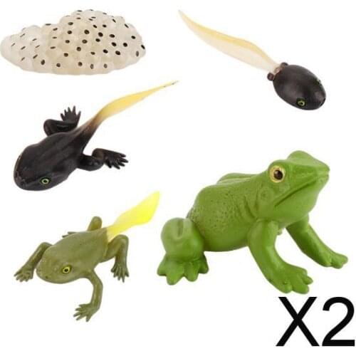 2xKids Toy Simulation Animal Figures Set Growth Process Playset Frog