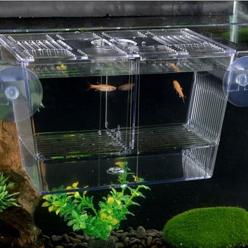 Aquarium Fish Breeding Isolation Box Breeder Box Fish Incubator Woth High Strength Suction Cup Fish Breeding Accessories Product