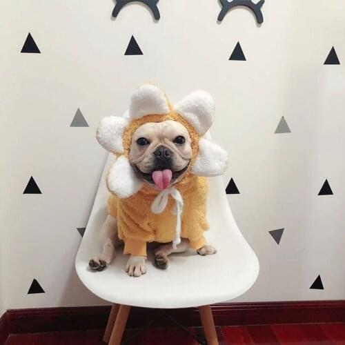 Dog Clothes for Small Dogs Winter Warm Hoodies for French Bulldog Sunflower Hooded Outfit for Chihuahua Yorkshire Pet Costume XL