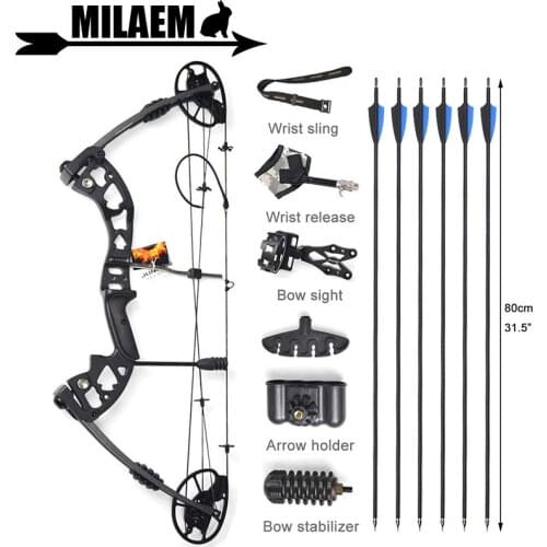 30-70lbs Archery Compound Bow M125 Bow Sight Stabilizer Bow Release Stand IBO320FPS RH Bow And Arrow Shooting Accessories