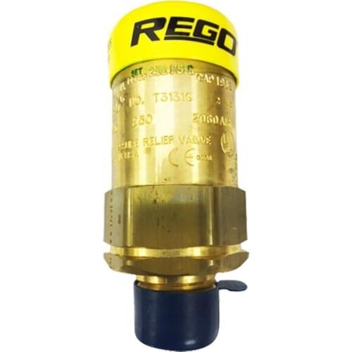 Lpg Gas Skid Mounted Tank Equipment Container Brass Safety Valve 3131G Secondary Pressure Relief Device