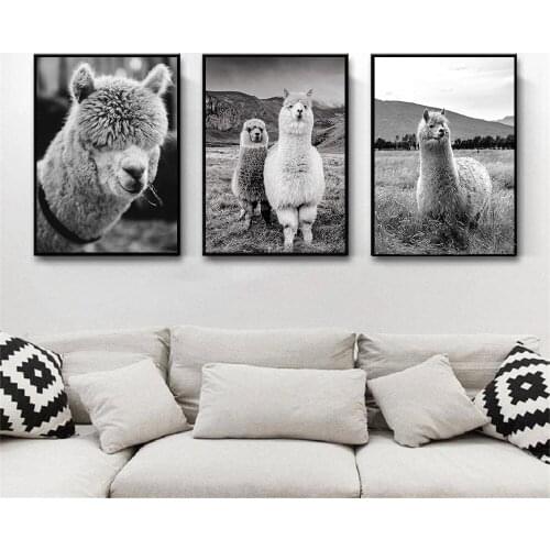 Black And White Alpaca Poster Animal Llama Canvas Print Modern Wall Art Painting Nordic Wall Pictures For Living Room Home Decor
