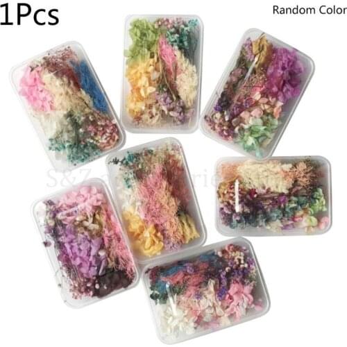 1 Box Real Mix Dried Flowers for Resin Jewellery Dry Plants Pressed Flowers Making Craft DIY Accessories Home Use