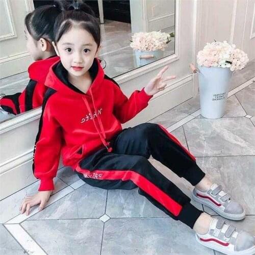 Spring Autumn Kids Girls Clothing Set Childrens Fall Hooded Sweatshirt + Pants Tracksuit Teen Baby Girls Sportswear Outerwear