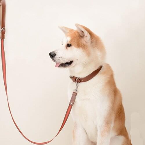 Fashion Dog Cat Leash Small Medium Large Dog Pet Training Leash Soft cattlehide Quality Genuine Pet Leather Leash