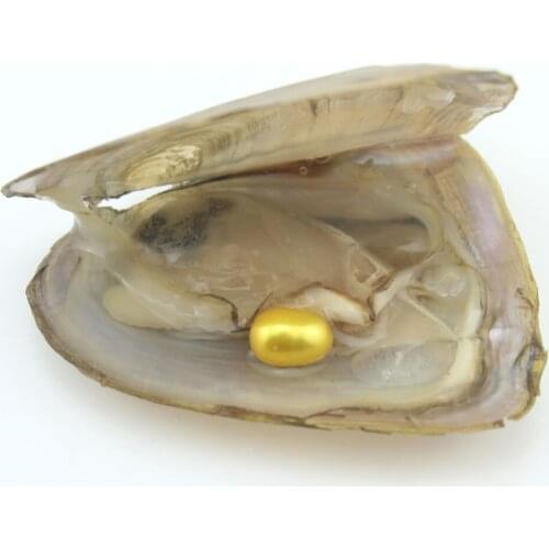 Овальный бисер ZJYBXF China At AliExpress