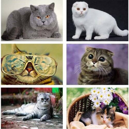 Cat DIY Diamond Painting 5D Full Square Drill Animal Mosaic Embroidery Handmade Cross Stitch Home Room Wall Decor Art