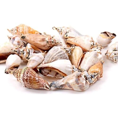 Plating Spiral Cut Shell For Scrapbook Craft DIY Handmade Seashells Glass Bottle Nautical Home Decoration 5pcs