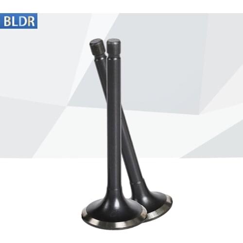 125CC Motorcycle Engine Inlet Outlet Intake Valve Exhaust Valve Stem Kit For Yamaha XV125 XV 125