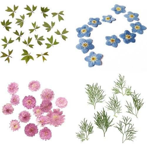 10pcs Pressed Real Dried Flower Vivid Dry Leaves for DIY Crafts Bookmark Card Making Phone Case Embellishment Supplies