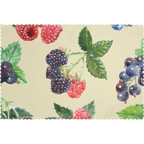 Table Mats Drink Coaster Table Placemats Berry Strawberry Raspberry Currant Coffee Mug Cup Coasters 6 PCS Non-slip Pads