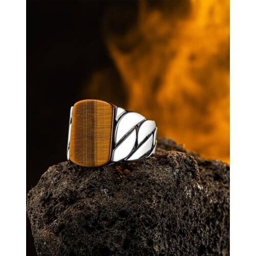 Elegant Ring in 925 Sterling Silver Bract Figure Brown Tiger Eyes Master Hand Rings Trendy Gift for Men Rings Fine Jewelry