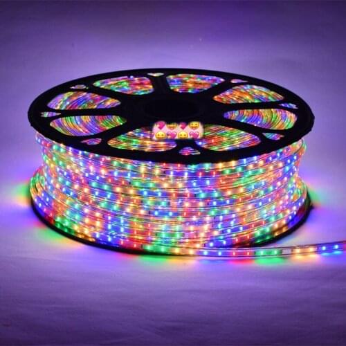 LED Strips 100meter Multicolor 4plug 3014 strip 120led/Meter Christmas AC220V IP66 waterproof outdoor garden light white/warm